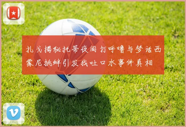 扎戈揭秘托蒂夜间打呼噜与梦话西蒙尼挑衅引发我吐口水事件真相